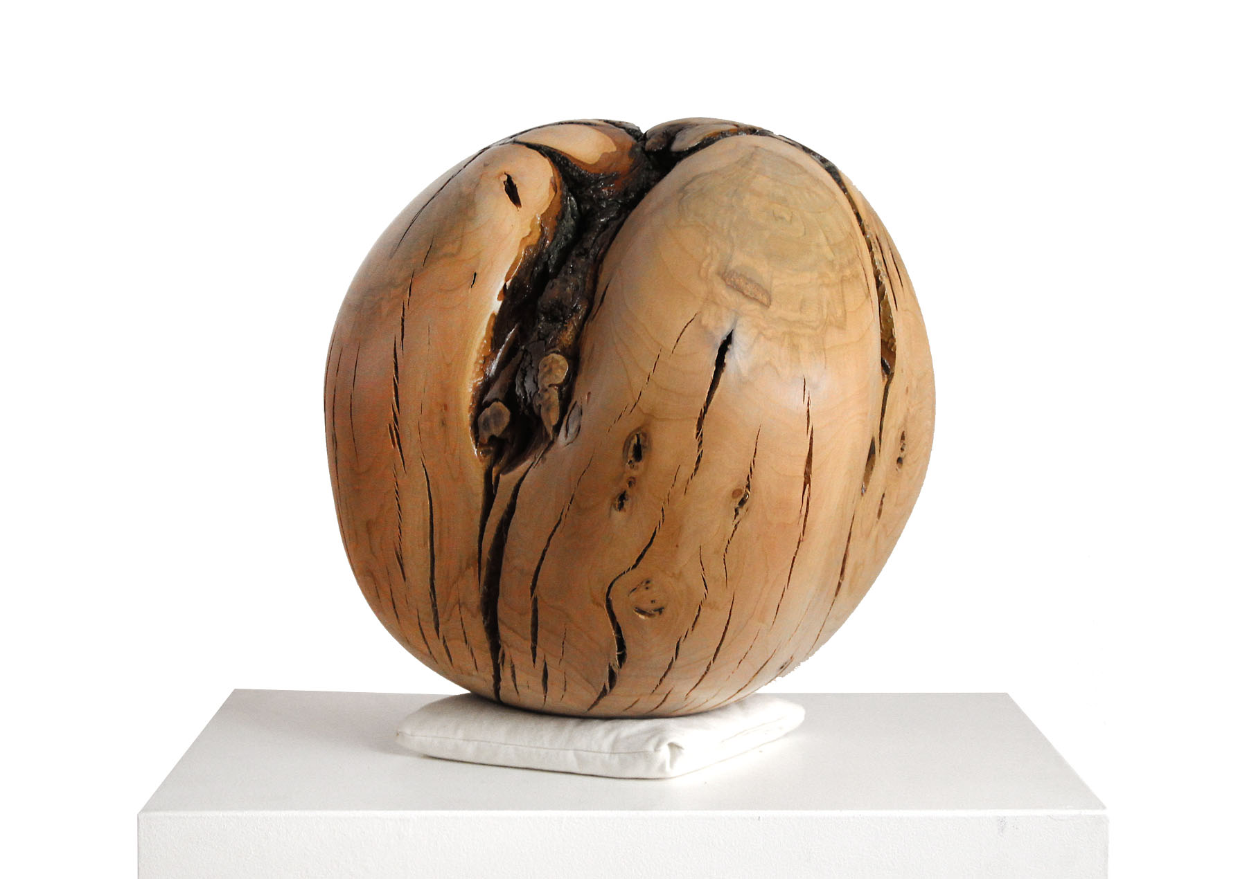 Skulptur, J. Zipfel : "Basic Root Power"