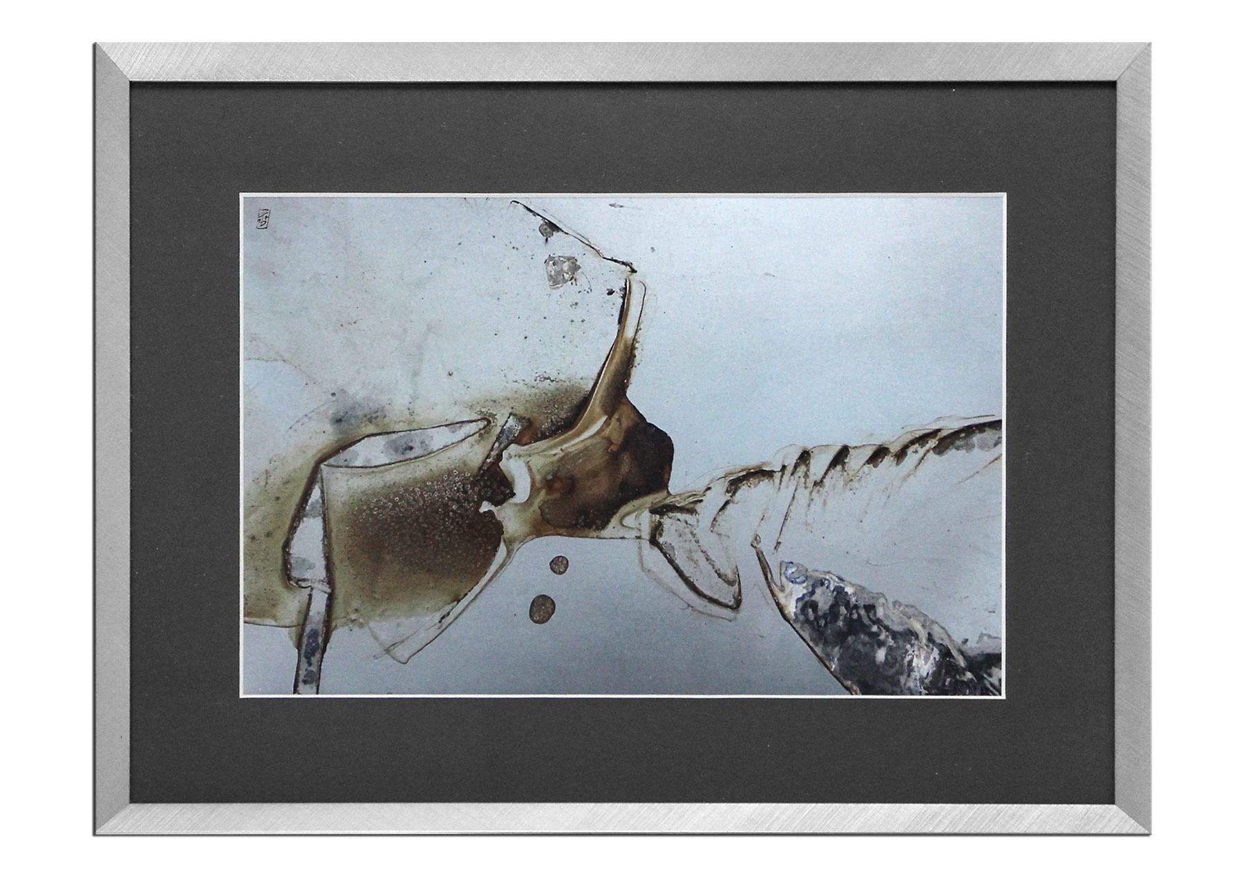 Grafik/Fotodruck, Dirk Hille: "Insecta"