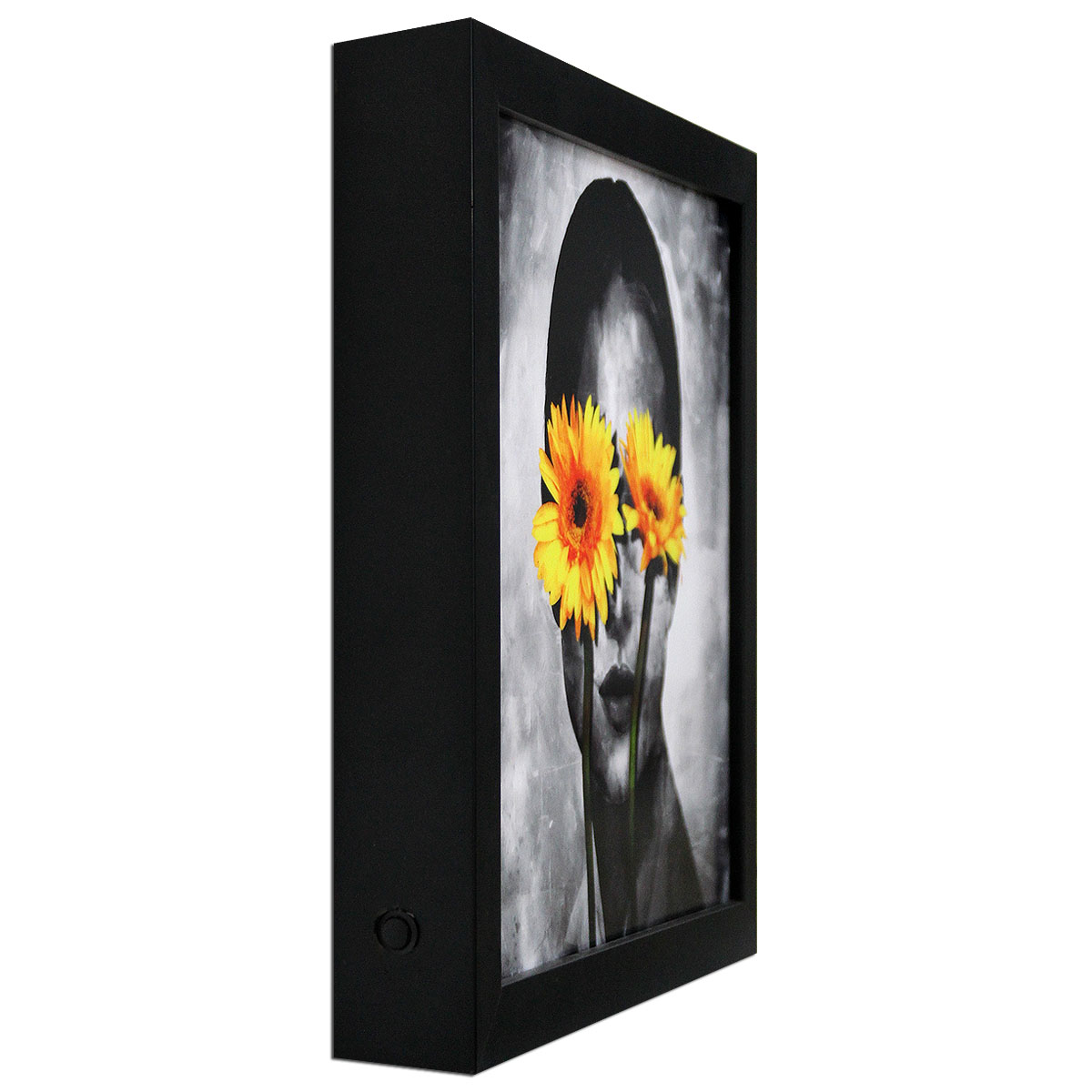 D. Landô: "Secret Garden #36", Unikat-Edition, digitale Kunst auf Lichtbox (A)