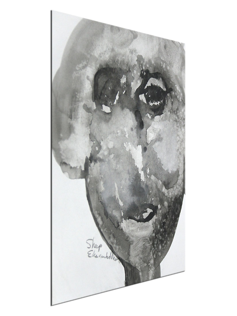 Acrylmalerei auf Papier, E.v.d.Meer: "SHEEP"