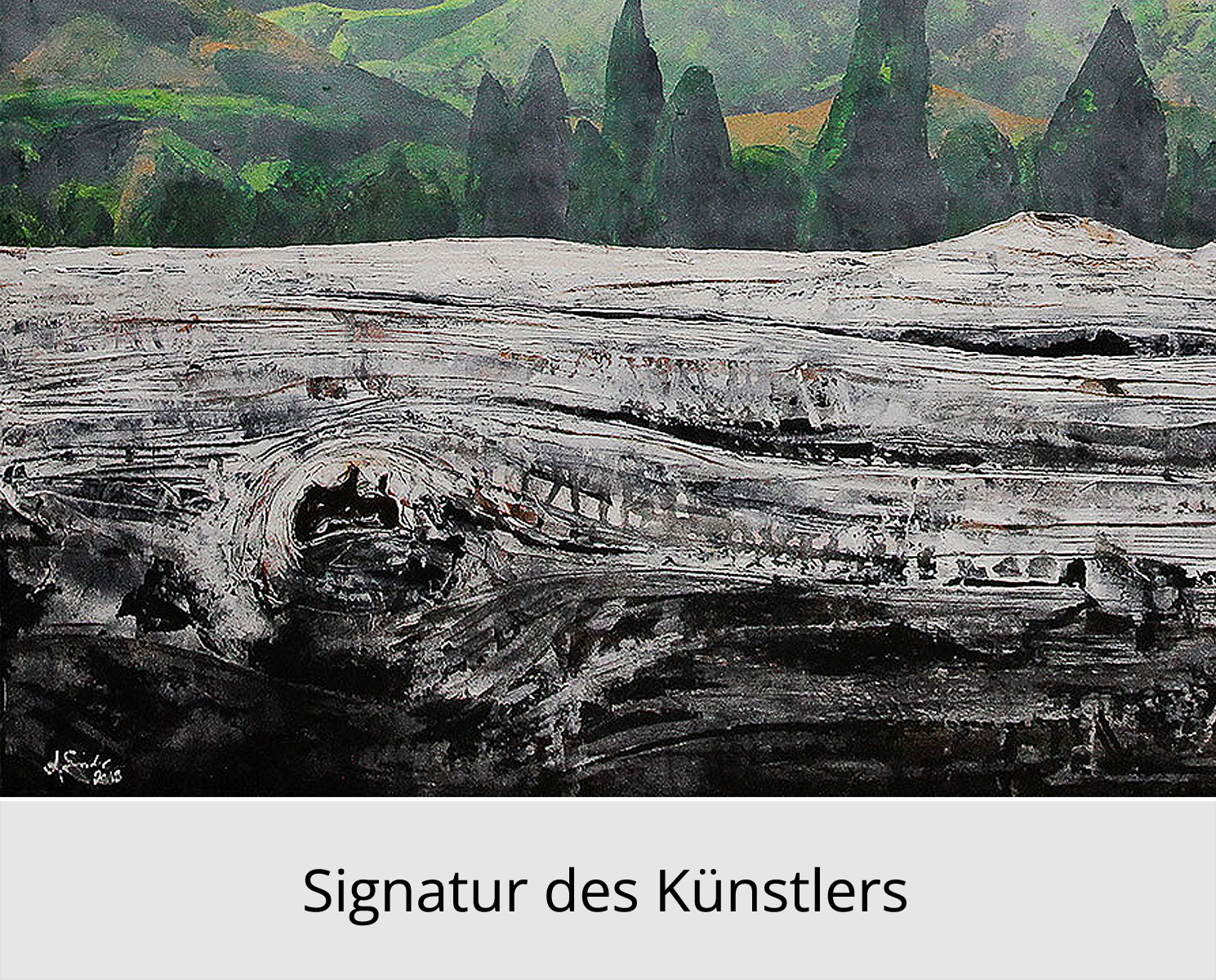 Limitierte Edition auf Papier,A.Garbe: "Holz vs.Landschaft:Schwarzwald",signierter Fineartprint1/150
